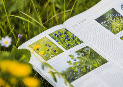 The Definitive Guide to Foraging Wild foods: Discovering the Secrets of Natural Healing 2
